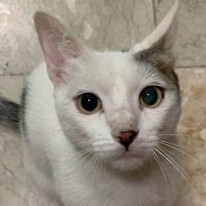 Meet your Posher, Susana